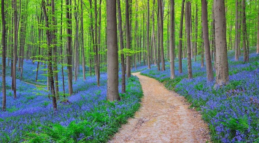 Emain Ablach.jpg2.jpg