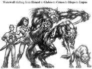 Werewolf5forms.jpg