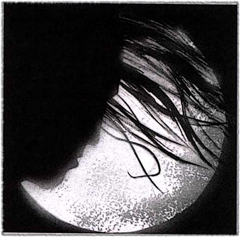 Toreador Paul Bathalos.jpg