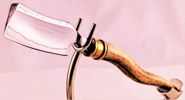 Aarons Feeding Razor.jpg